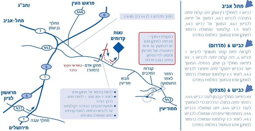 צל הדומים   