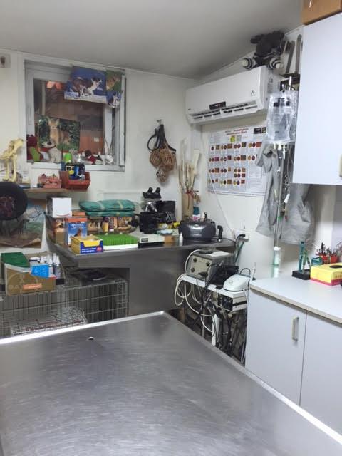 מרפאה וטרינרית דר מוטי נאור   