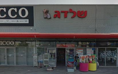שלדג   