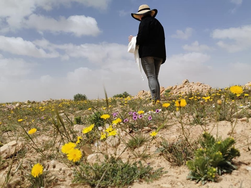 חאן בארותיים   
