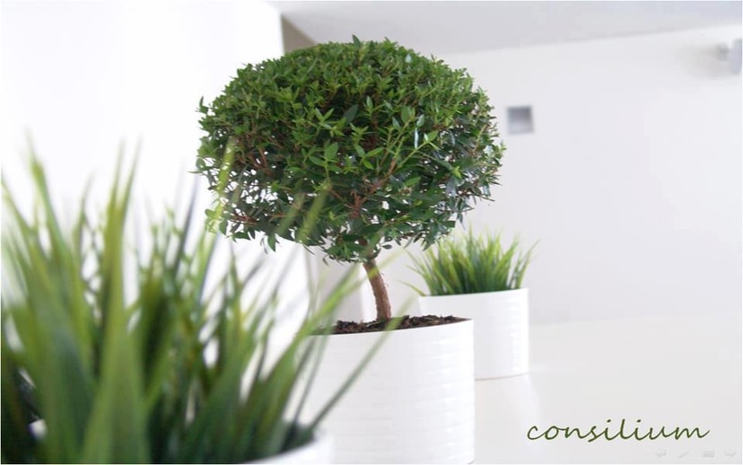consilium אדריכלות ועיצוב פנים הום סטיילינג, לפעמים מספיק טאצ' אחד קטן שישנה את הכל  