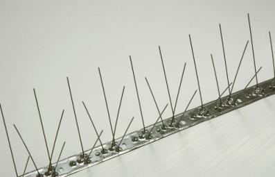 עופי יונה - הרחקת יונים   