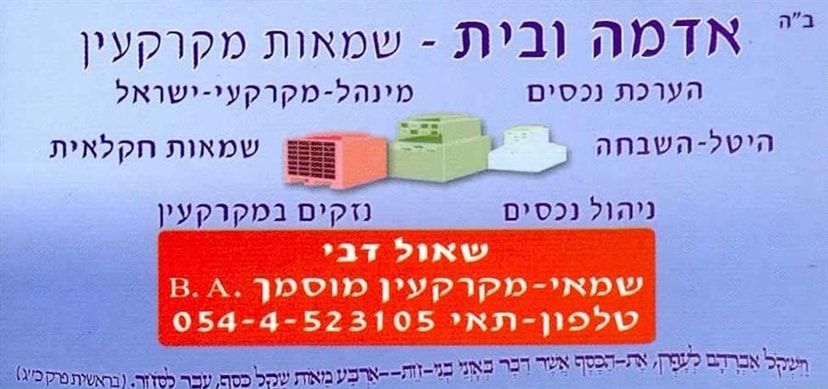 דבי שאול   