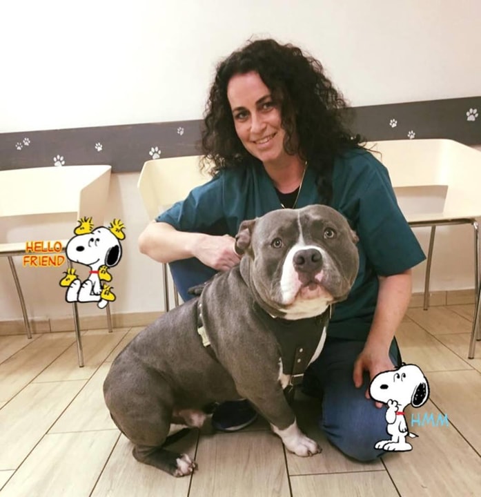ד"ר קובי לביא   