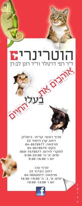 ארטאטק פרינט  