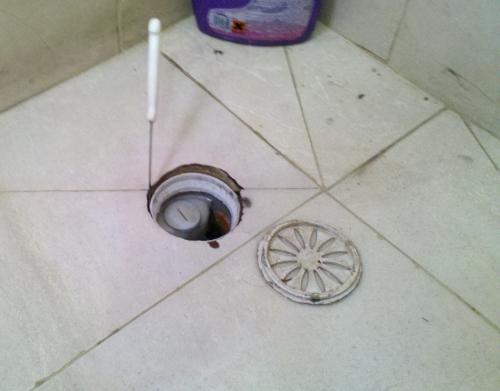 דותן האינסטלטור שלך   