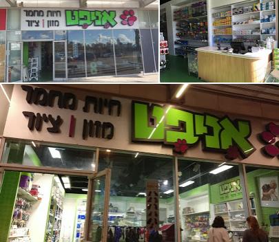 אניפט   