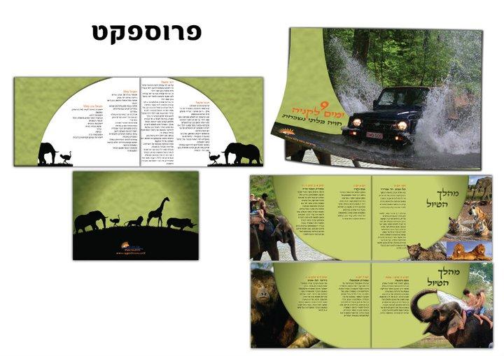 טובה מעצבת גרפית עיצוב כריכות לספרים  